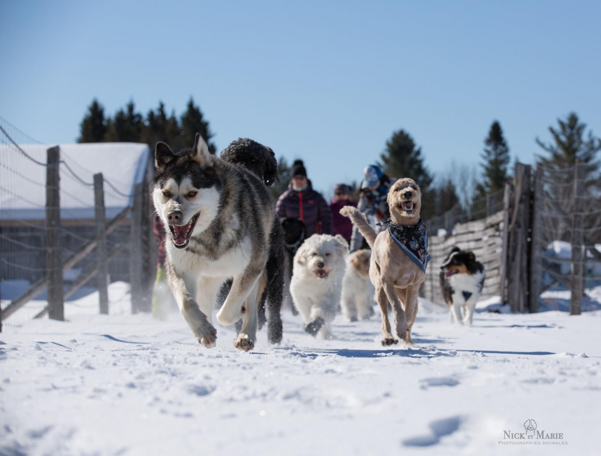 Une belle journée d'hiver !