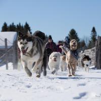 Une belle journée d'hiver !